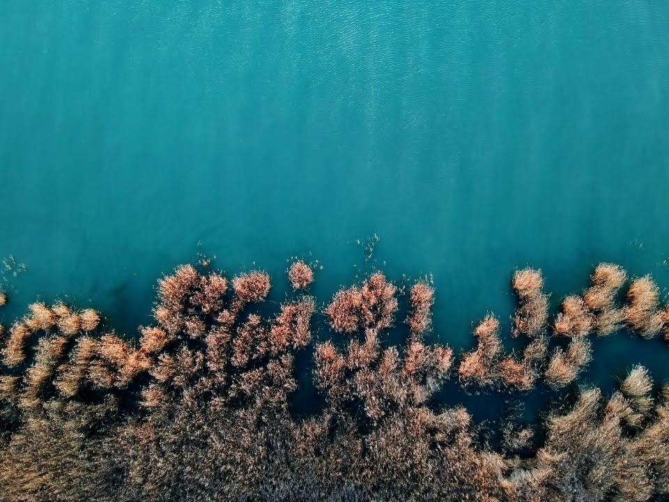 Hello Balaton Apartment Alsóörs Екстериор снимка